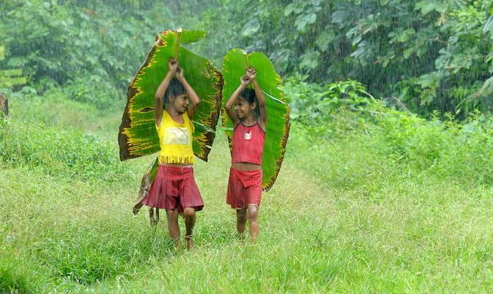 Amazon girls