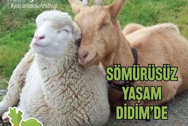 didim vegfest 2018 facebook somurusuz yasam