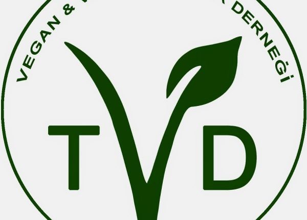 tvd logo