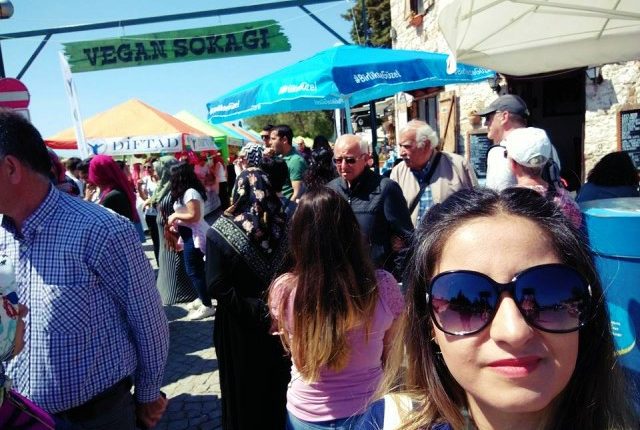 didim vegfest 2018 vegan sokagi