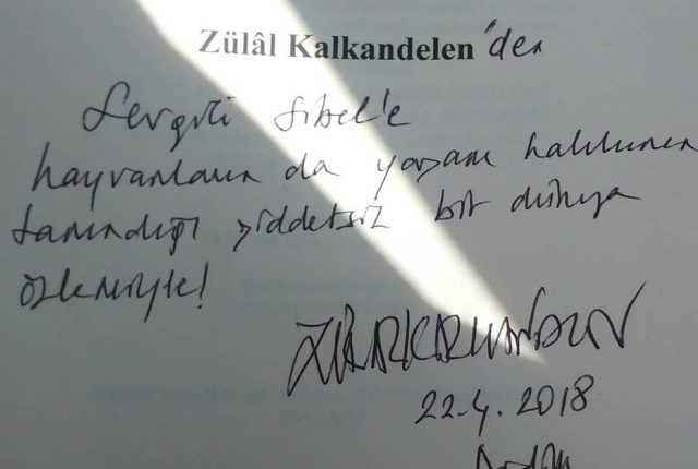 didim vegfest 2018 zulal kalkandelen